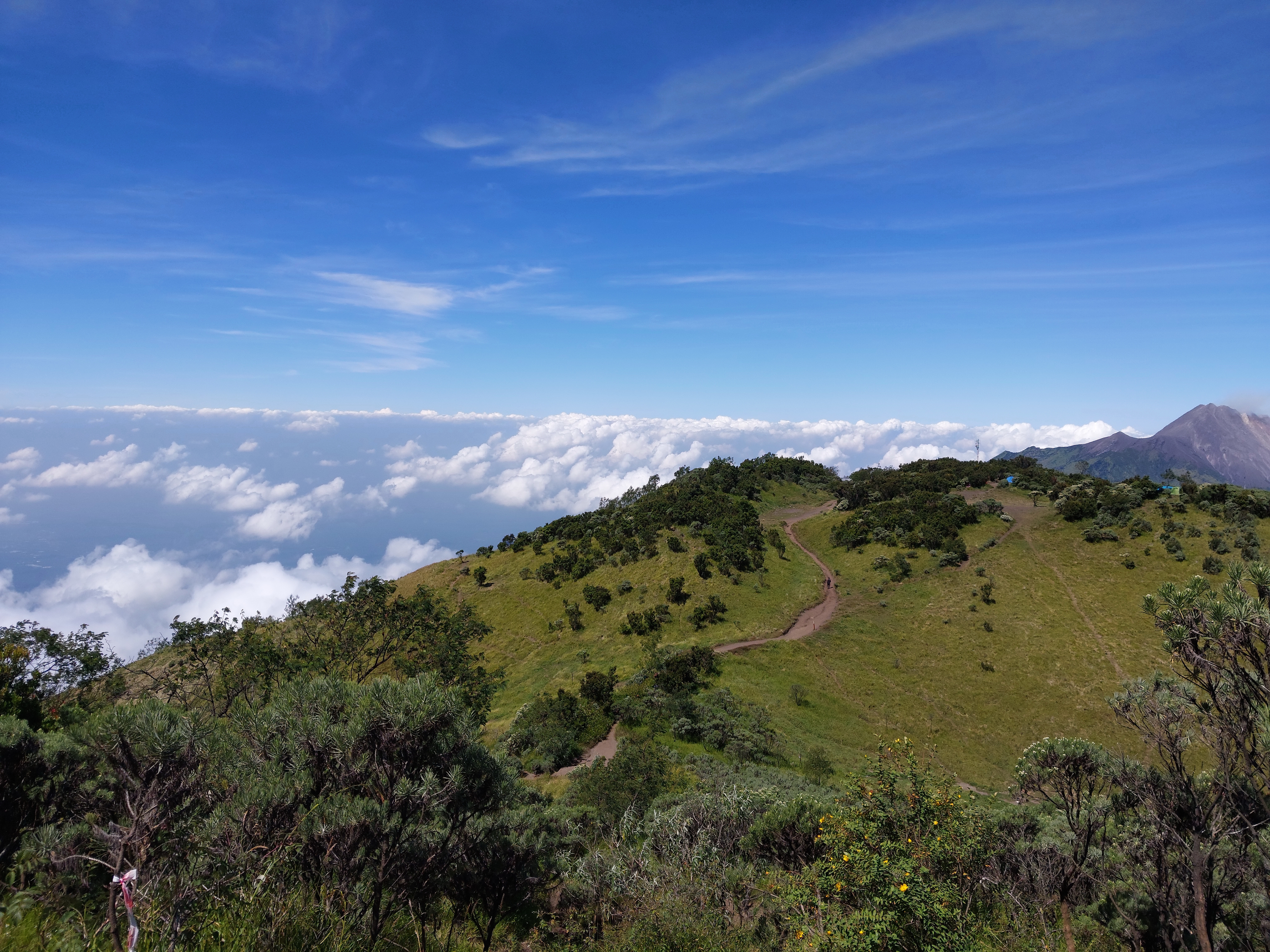MERBABU